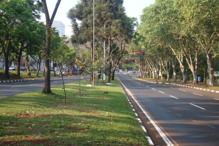 A Avenida Paraná